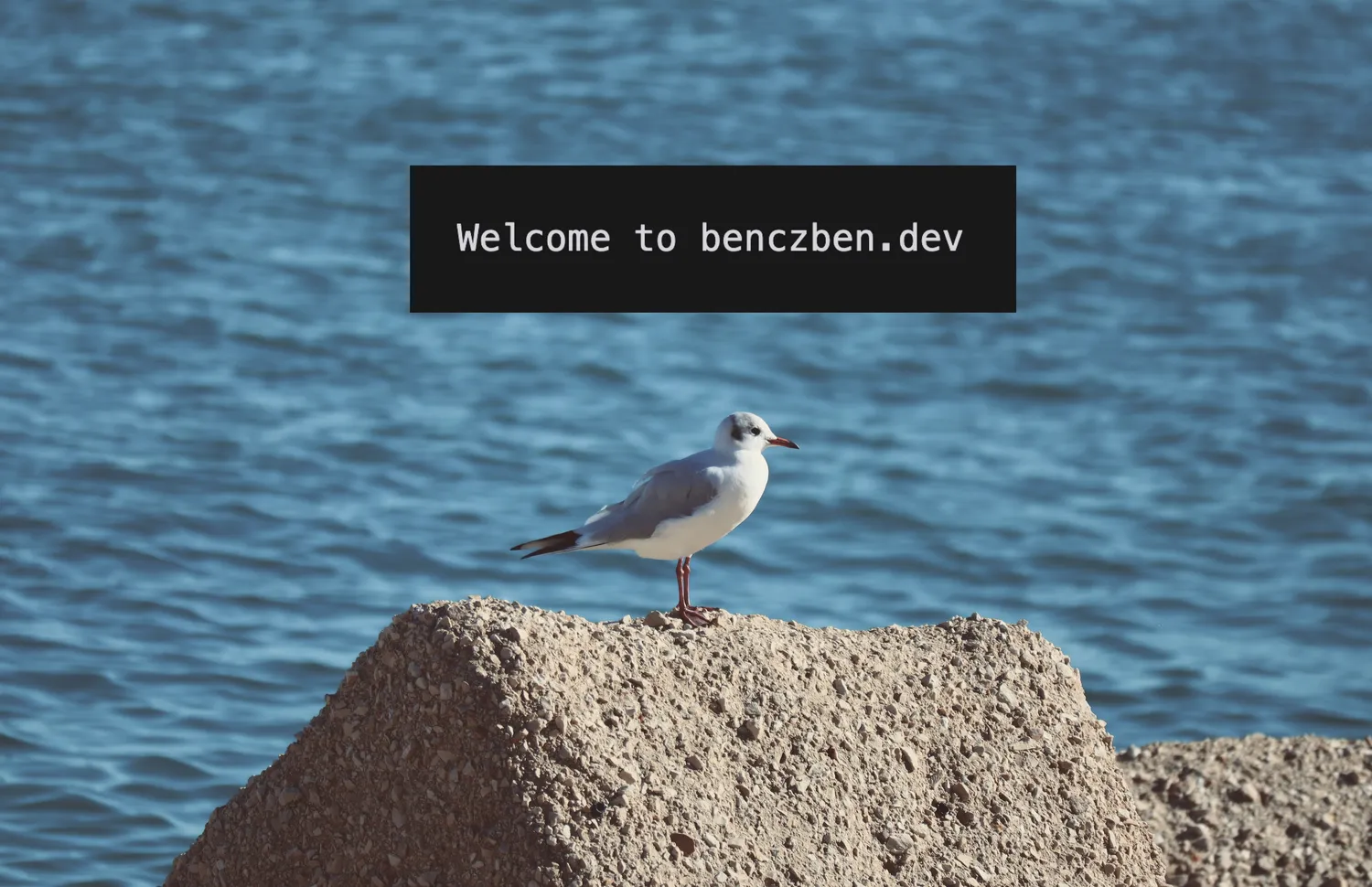 Welcome blog post cover image
